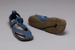 Feder><noscript><img width=