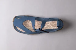 Feder><noscript><img width=