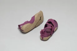 Feder><noscript><img width=