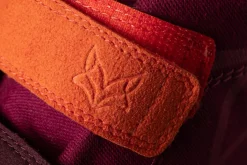 Filu><noscript><img width=