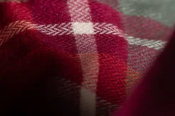 Filu><noscript><img width=