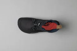 Flughund><noscript><img width=