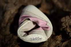 Hanami><noscript><img width=