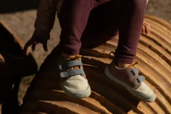 Junto><noscript><img width=