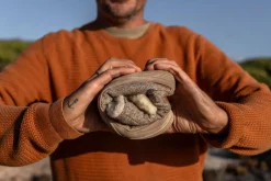 Koselig sand>Wildling Shoes New