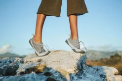 Kranich Refoxed><noscript><img width=