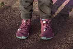 Kuma Kokoro><noscript><img width=