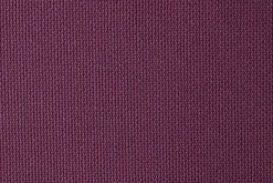 Kuma Kokoro><noscript><img width=