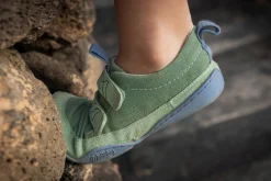 Lago><noscript><img width=