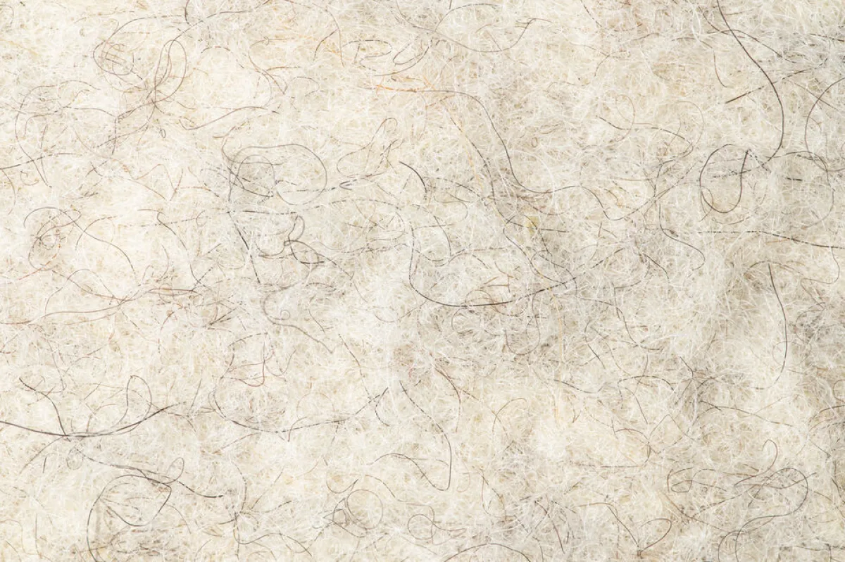 Lotus>Wildling Shoes Clearance