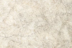 Lotus><noscript><img width=