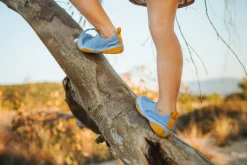 Mar><noscript><img width=