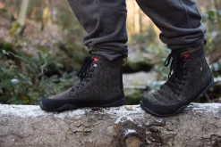 Nordwolf><noscript><img width=