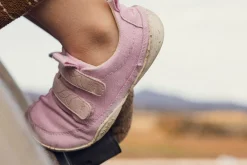 Prunus><noscript><img width=