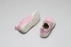 Prunus><noscript><img width=