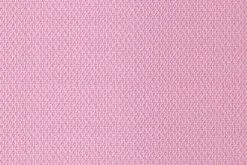 Prunus><noscript><img width=