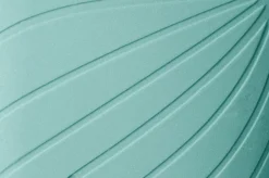 Ranidae><noscript><img width=