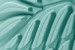 Ranidae><noscript><img width=