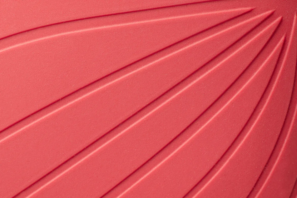 Ranidae>Wildling Shoes New