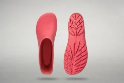 Ranidae><noscript><img width=