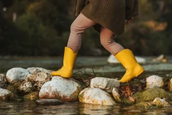 Ranidae><noscript><img width=