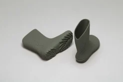 Ranidae><noscript><img width=