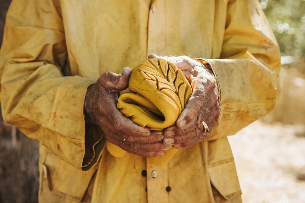 Ranidae>Wildling Shoes Outlet