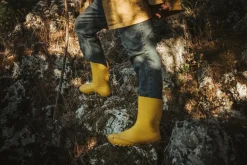 Ranidae><noscript><img width=