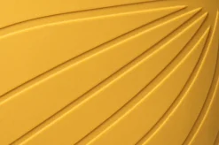 Ranidae><noscript><img width=