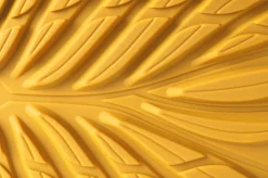 Ranidae><noscript><img width=