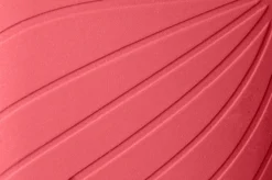 Ranidae><noscript><img width=