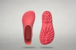 Ranidae><noscript><img width=