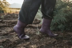 Ranidae><noscript><img width=