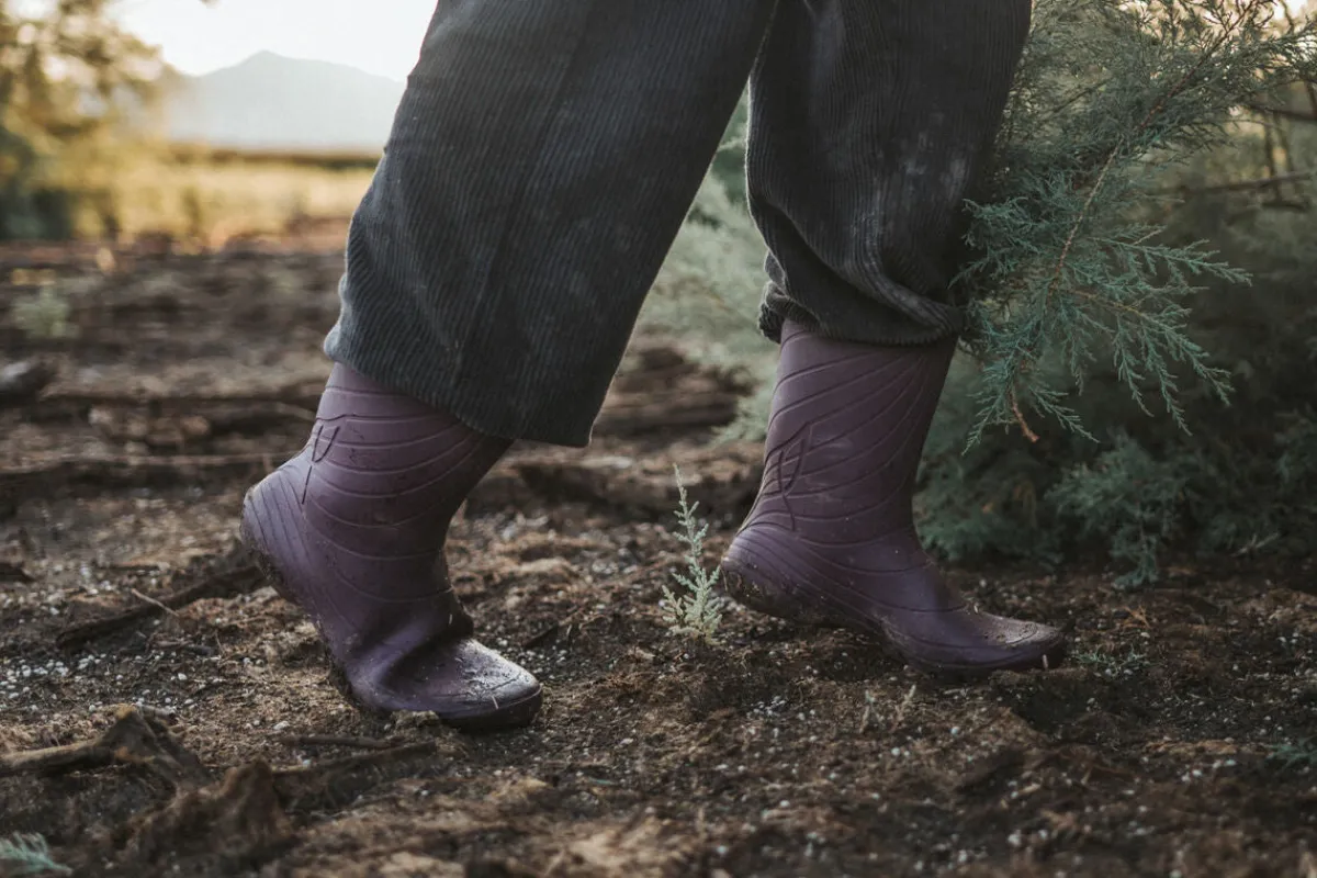 Ranidae>Wildling Shoes New