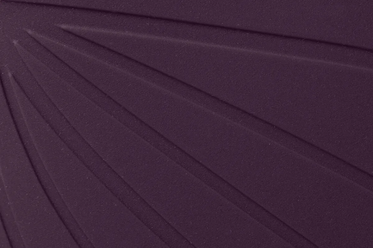 Ranidae>Wildling Shoes New