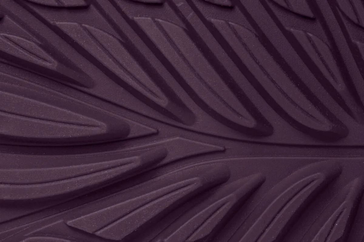 Ranidae>Wildling Shoes New