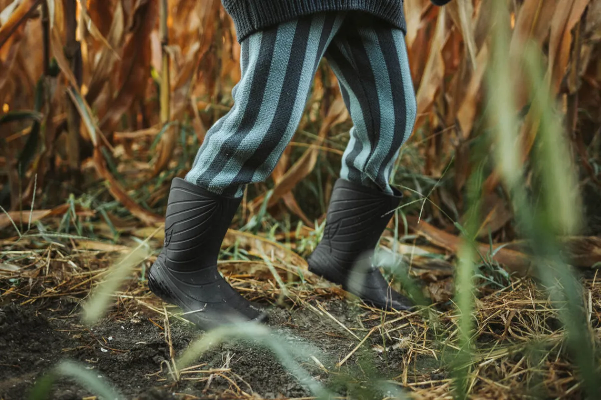 Ranidae>Wildling Shoes Best