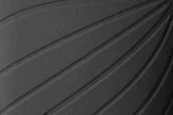 Ranidae><noscript><img width=