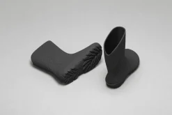 Ranidae><noscript><img width=