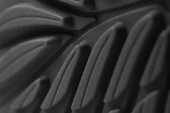 Ranidae><noscript><img width=