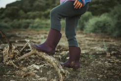 Ranidae><noscript><img width=