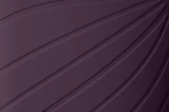 Ranidae><noscript><img width=