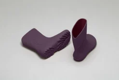 Ranidae><noscript><img width=