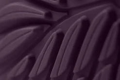 Ranidae><noscript><img width=