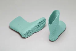 Ranidae><noscript><img width=