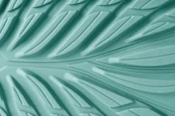 Ranidae><noscript><img width=