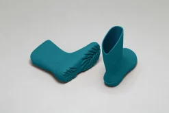 Ranidae><noscript><img width=