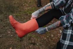 Ranidae><noscript><img width=