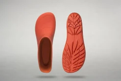 Ranidae><noscript><img width=