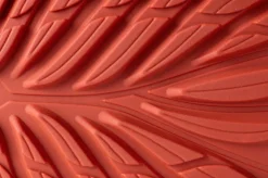 Ranidae><noscript><img width=